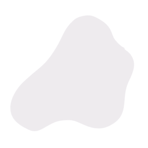 PayNow